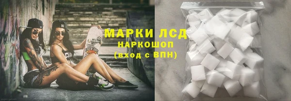 прущие грибы Горнозаводск