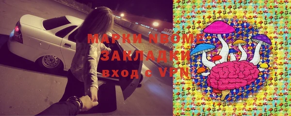 шишки Козельск