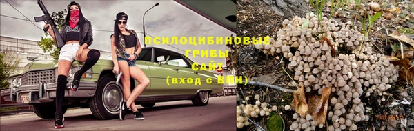 мдпв Остров