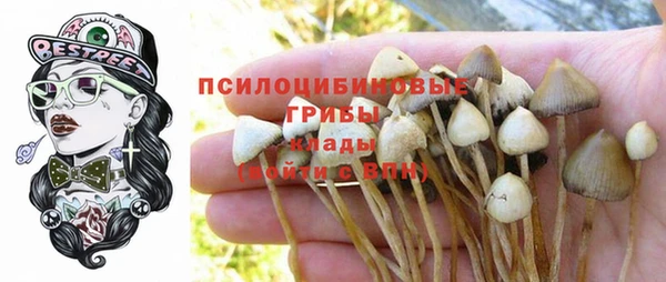 прущие грибы Горнозаводск