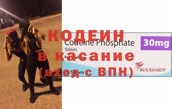 прущие грибы Дмитриев