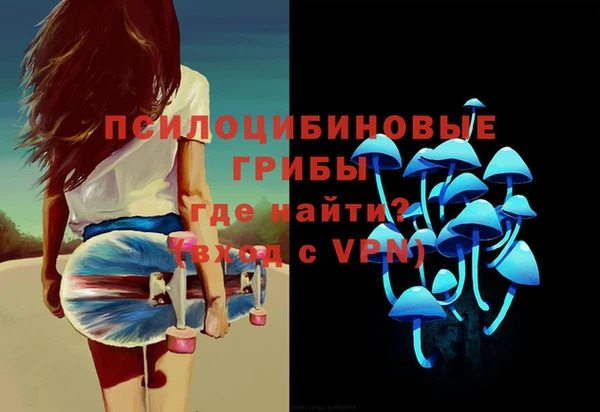 прущие грибы Горнозаводск