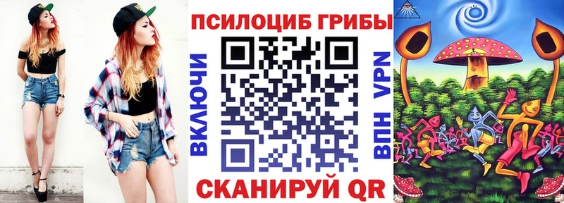 ссылка на мегу ссылка  Севск  Псилоцибиновые грибы Psilocybe 